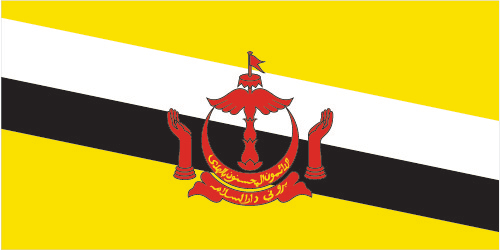 Brunie Flag