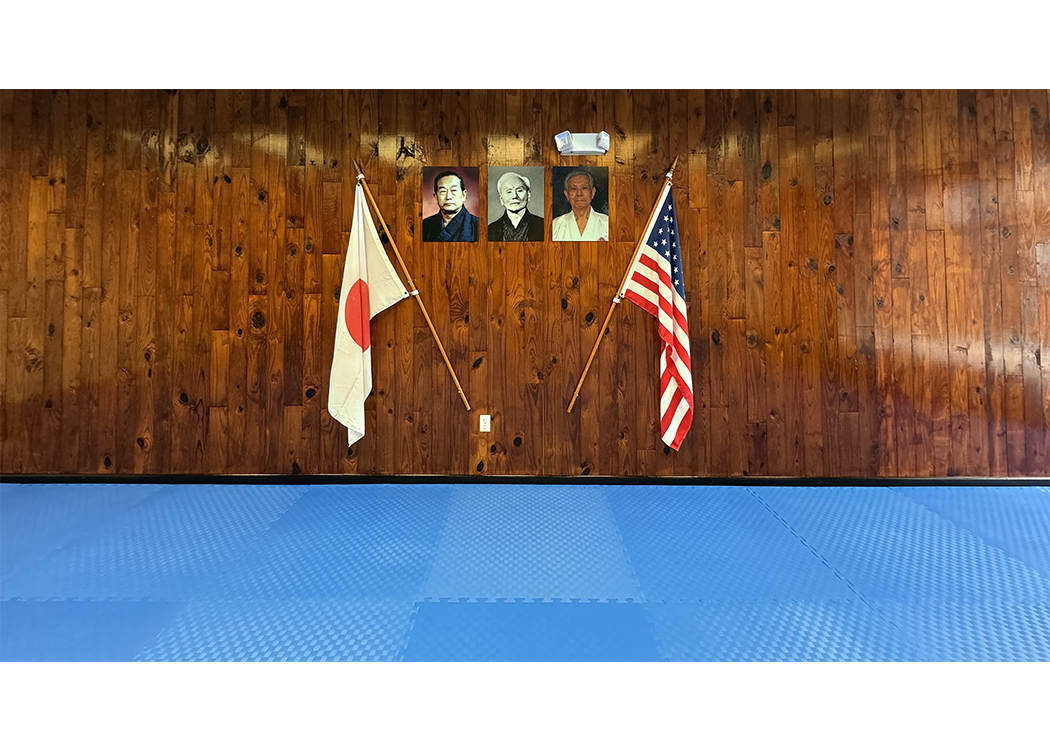 Dojo Shomen