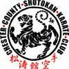 chester-county-shotkan-karate-club-logo
